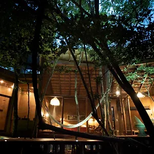 ojo-de-rbol-boutique-cabin-in-the-jungle-relax.quintano-roohotels.com/